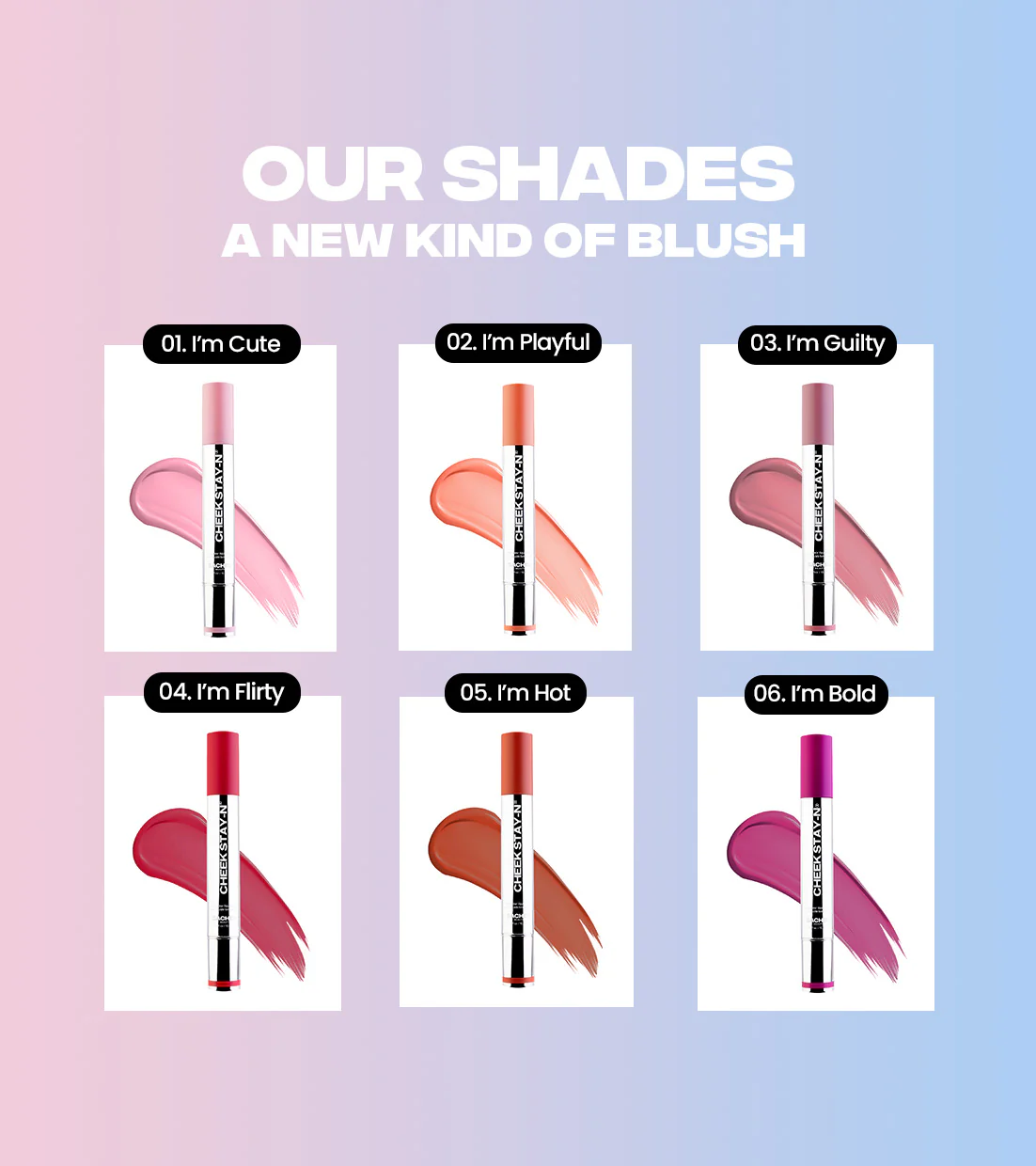 MIX + MATCH SCULPT & BLUSH KIT - Image 4